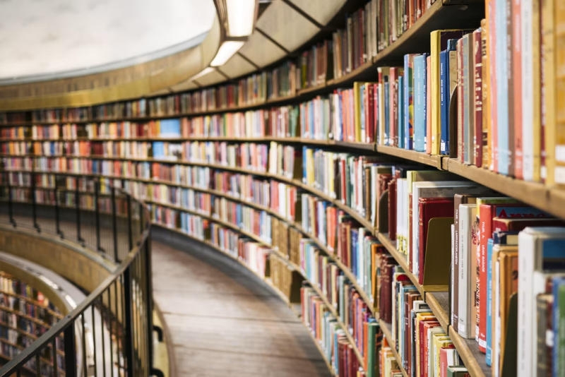 Разработчики ИИ стали закупать бумажные книги для обучения моделей &mdash; а после эти книги уничтожаются