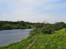 Обзор смартфона IQOO Neo 10: избранный, чтобы сделать бренд узнаваемым