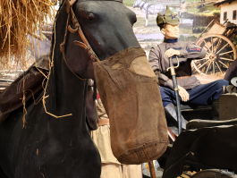 Обзор смартфона IQOO Neo 10: избранный, чтобы сделать бренд узнаваемым