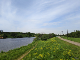 Обзор смартфона IQOO Neo 10: избранный, чтобы сделать бренд узнаваемым